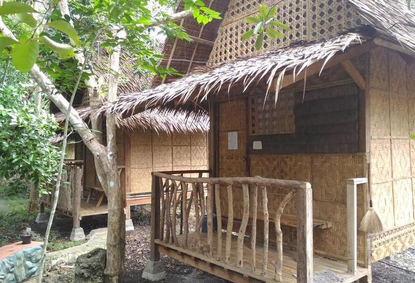 旅馆 Bohol Coco Farm