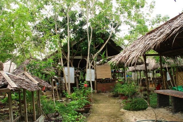 旅馆 Bohol Coco Farm