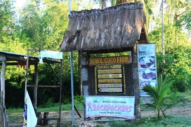 旅馆 Bohol Coco Farm
