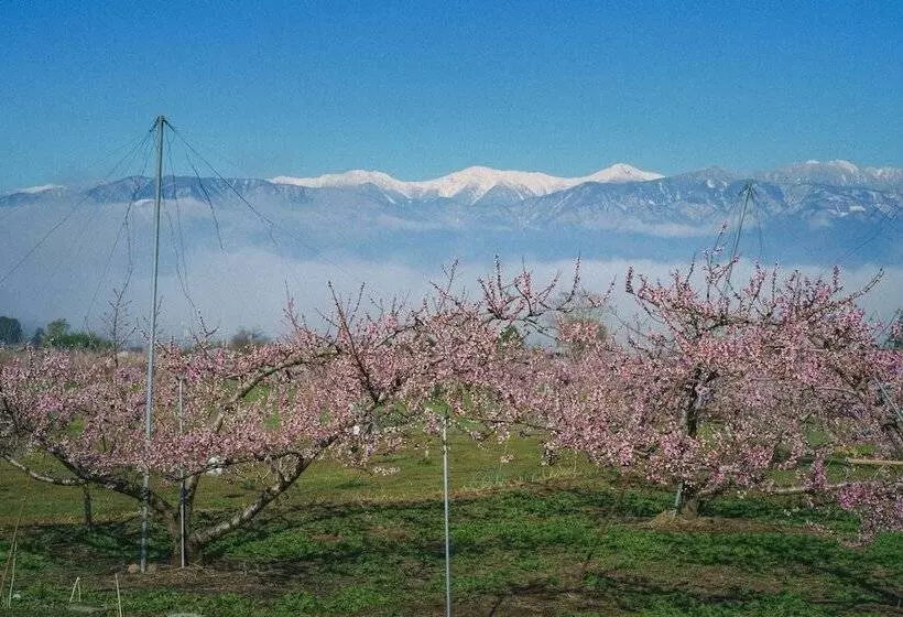 ホテル Kominkayado Loof Sakanoie