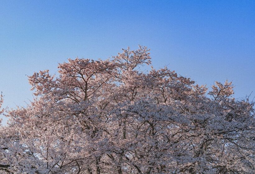 ホテル Kominkayado Loof Sakanoie