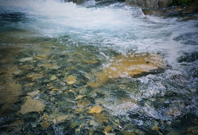 ホテル Kominkayado Loof Sakanoie