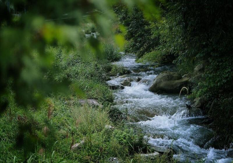 ホテル Kominkayado Loof Sakanoie