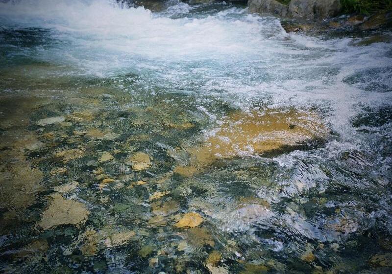 ホテル Kominkayado Loof Sakanoie