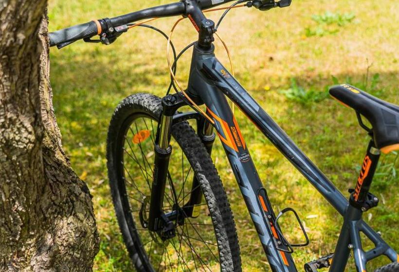 Felix Hotels   Hotel Residence Porto San Paolo