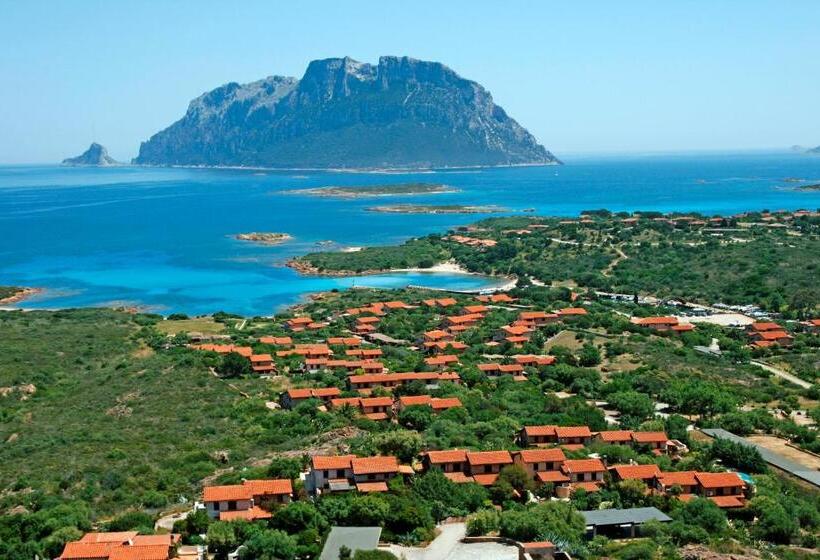 Felix Hotels   Hotel Residence Porto San Paolo