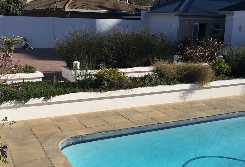 פנסיון The Blue Lotus Guest House