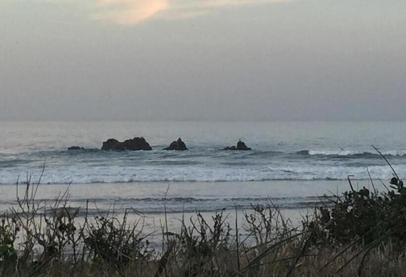 פנסיון The Blue Lotus Guest House