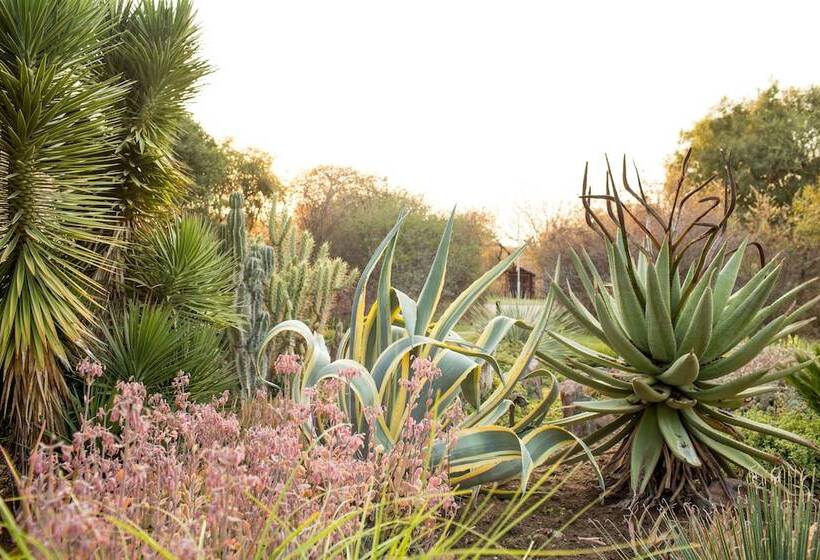 Woodlands Stop Over And Lodge