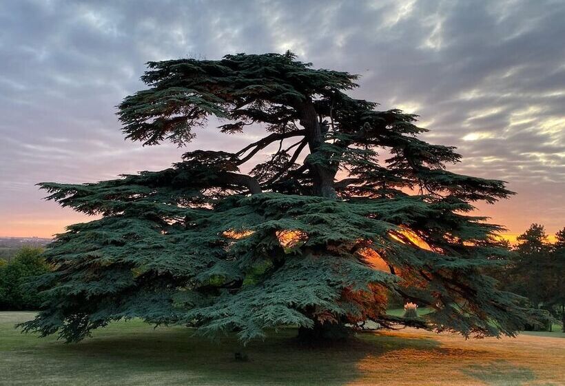 酒店 Château Gassies