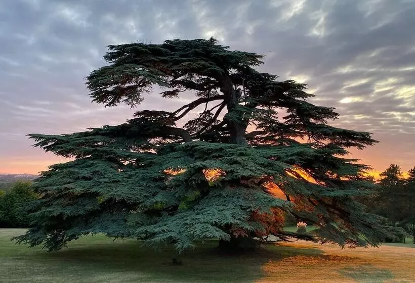 Hotelli Château Gassies