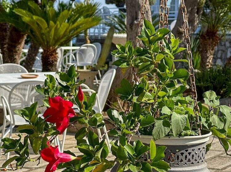 酒店 Villa Lubrense Sorrento