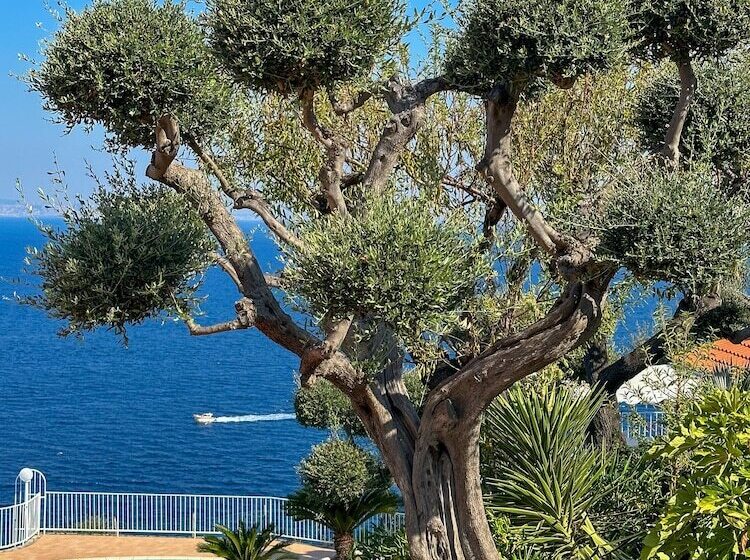 酒店 Villa Lubrense Sorrento