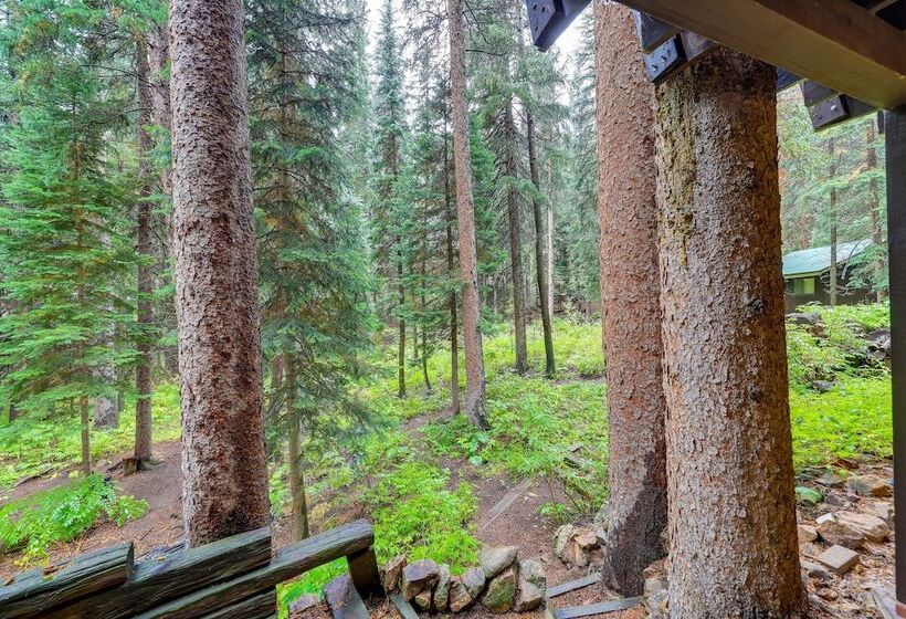 Mid Century Cabin: Creekside, Easy Access To I 70