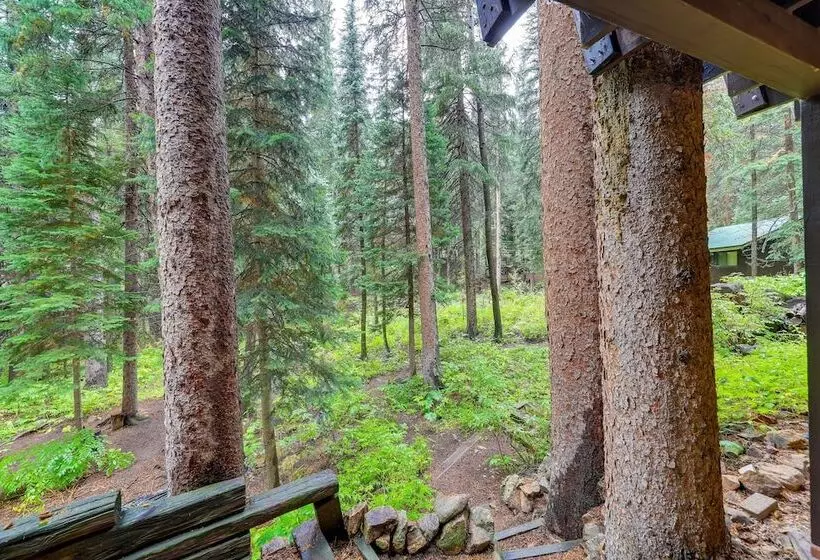 Mid Century Cabin: Creekside, Easy Access To I 70