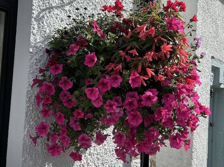 Beautiful 2 Bed Cottage In Heysham Village