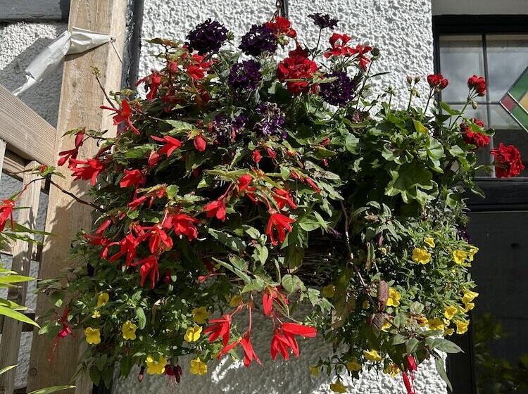 Beautiful 2 Bed Cottage In Heysham Village