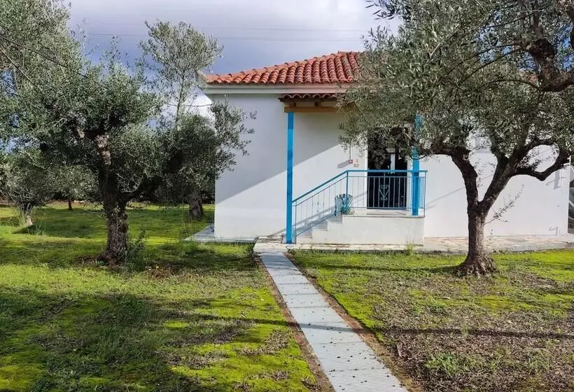 Coral Villas