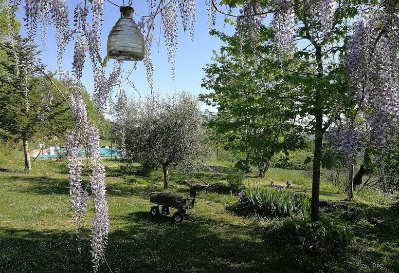 هتل روستایی Agriturismo Casa Greppo L Ulivo