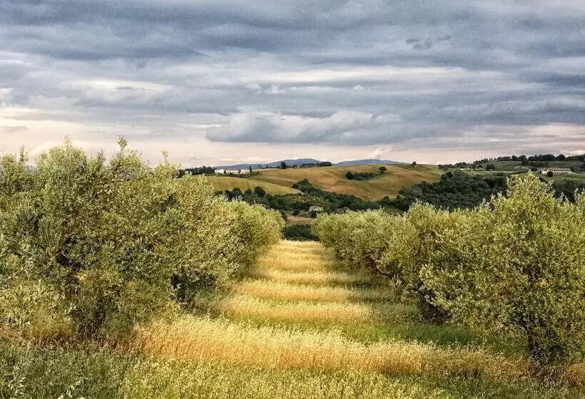 Maaseutuhotelli Agriturismo Casa Greppo   L Ulivo