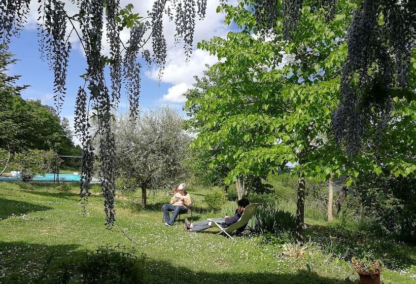 هتل روستایی Agriturismo Casa Greppo L Ulivo