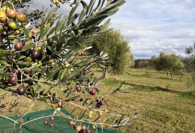 هتل روستایی Agriturismo Casa Greppo L Ulivo
