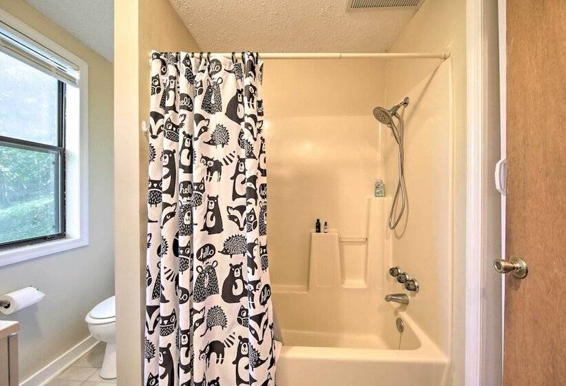 Pet Friendly Ellijay Cabin In The Woods On 1 Acre!