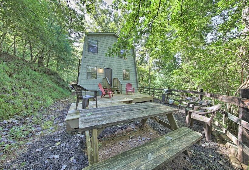 Pet Friendly Ellijay Cabin In The Woods On 1 Acre!