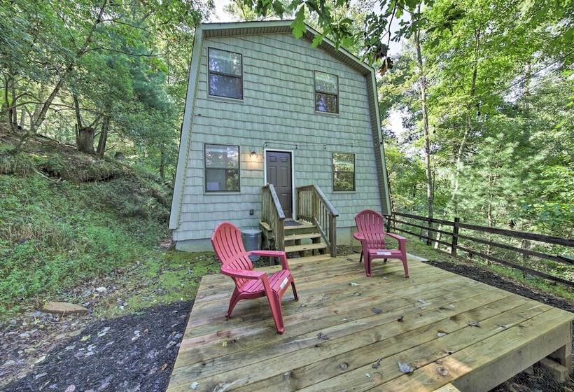 Pet Friendly Ellijay Cabin In The Woods On 1 Acre!