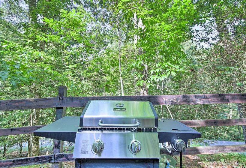 Pet Friendly Ellijay Cabin In The Woods On 1 Acre!