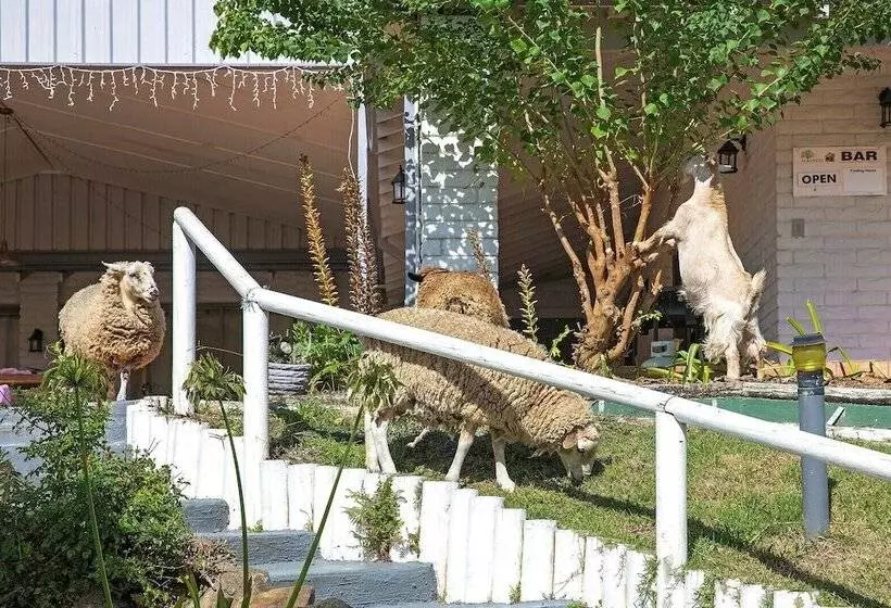 Altamira Along Bakers Creek