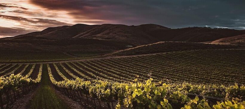 Apollonio Upper View Suites