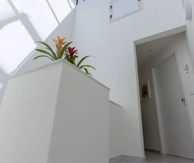 تختخواب و صبحانه Taormina Town   Guesthouse Sicily