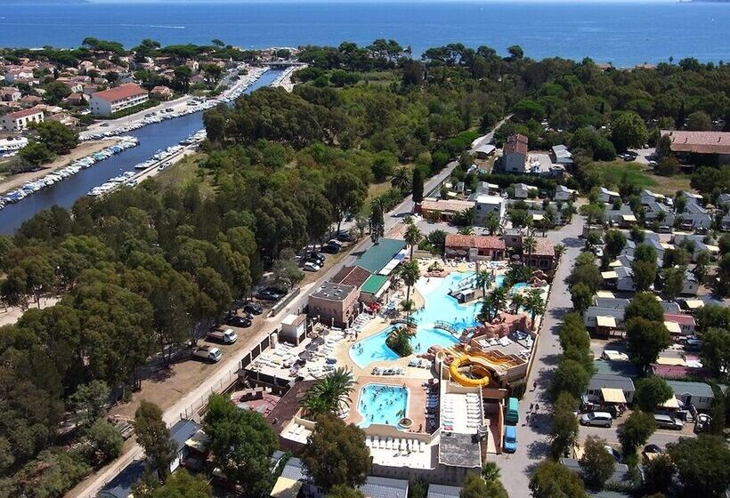 Отель Camping Les Palmiers