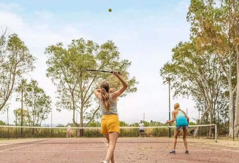 ホテル Camping Les Palmiers