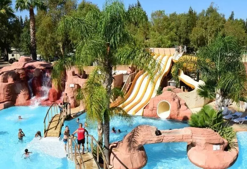 ホテル Camping Les Palmiers