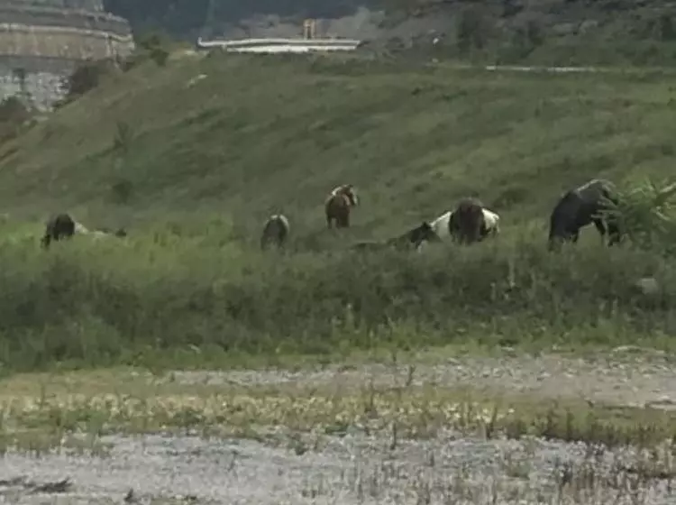 ホテル Fox Run Resort