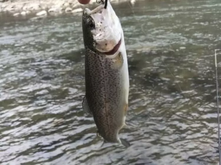 ホテル Fox Run Resort