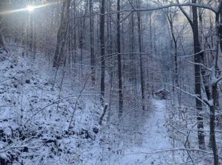 فندق Fox Run Resort