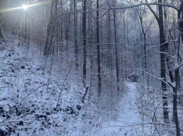 ホテル Fox Run Resort