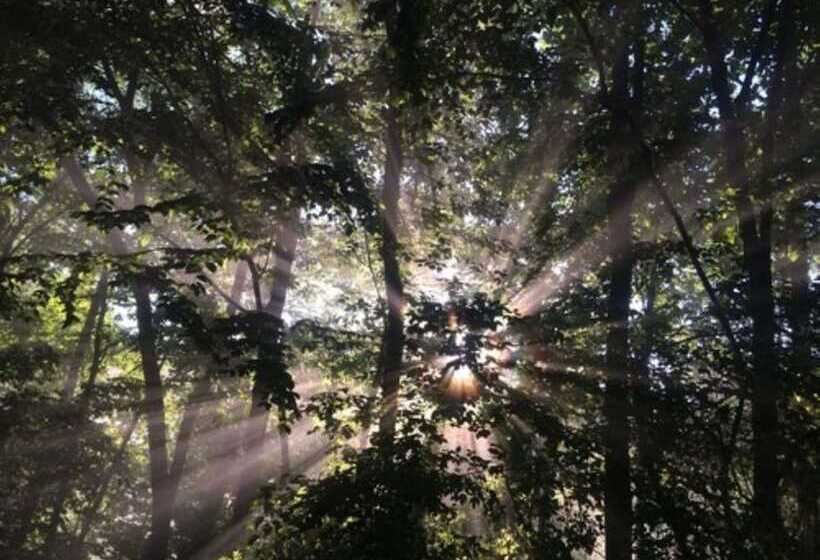 فندق Fox Run Resort