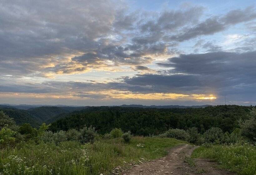 فندق Fox Run Resort