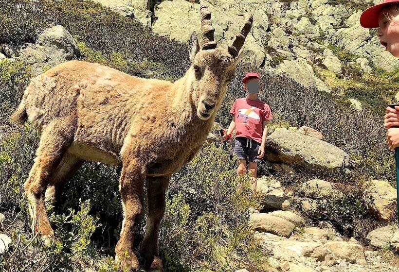 Calme Nature Ski à Vallorcine Mont Blanc