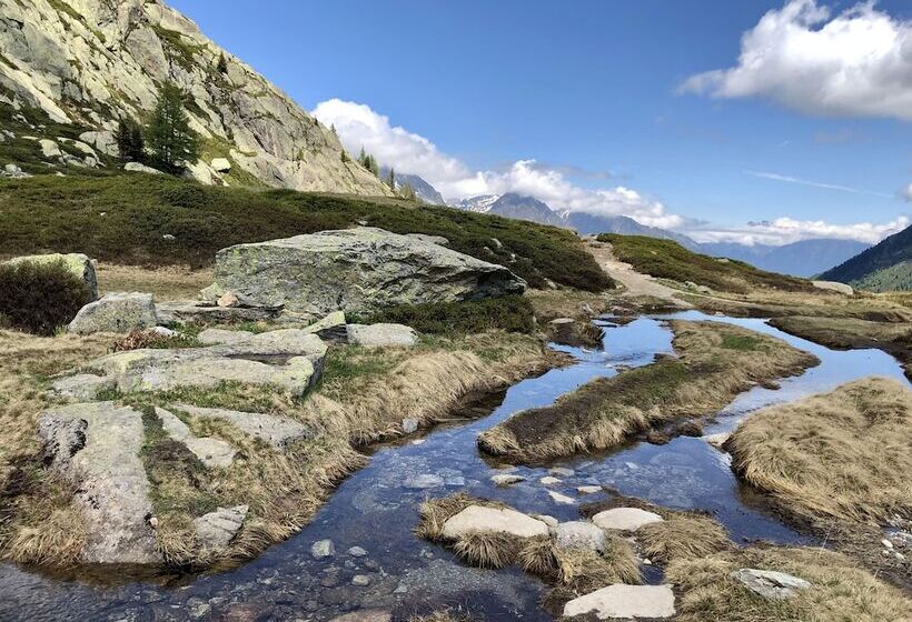 Calme Nature Ski à Vallorcine Mont Blanc