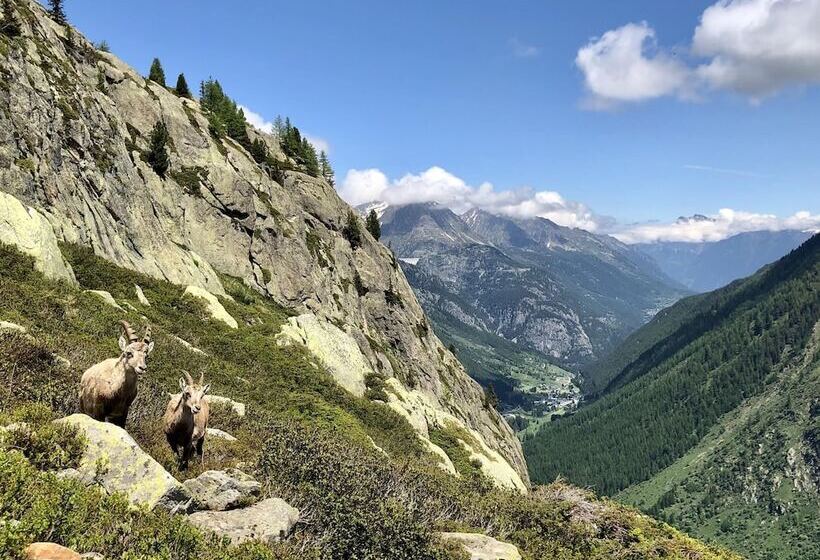 Calme Nature Ski à Vallorcine Mont Blanc