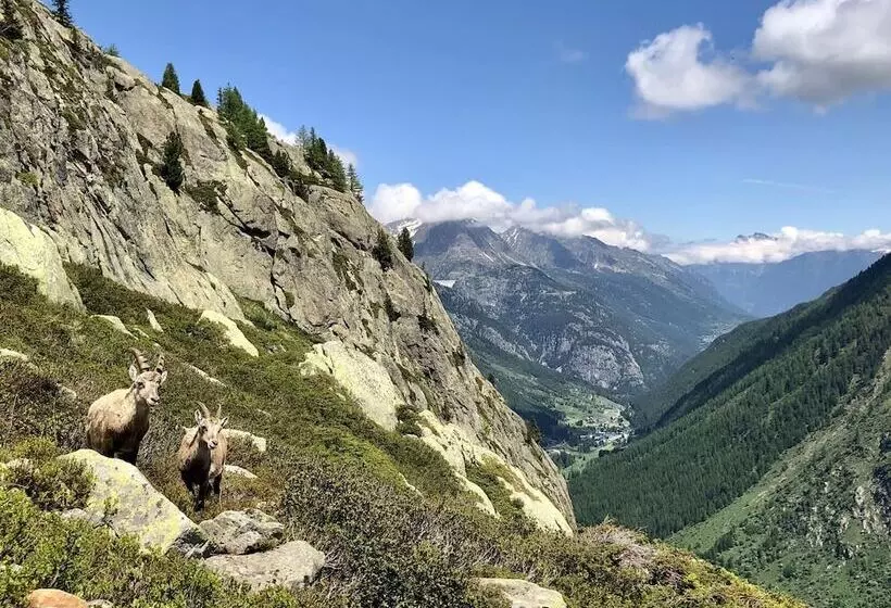 Calme Nature Ski à Vallorcine Mont Blanc