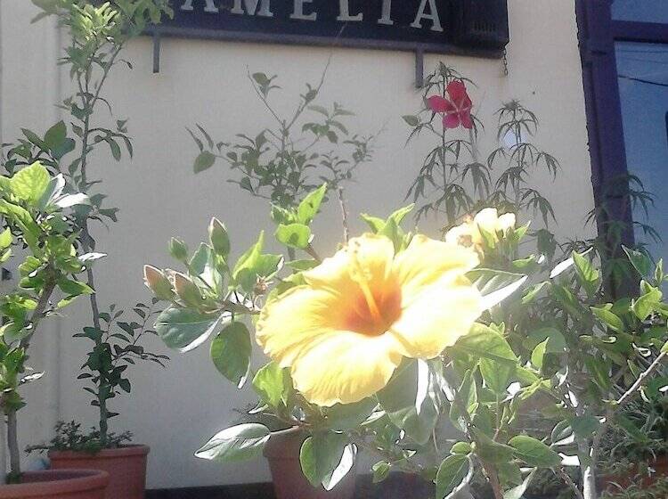 Vila Camellia