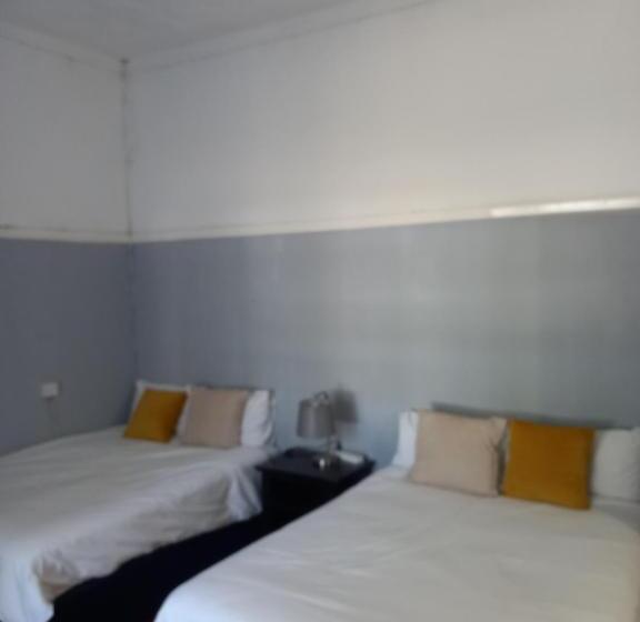 هاستل Choice Backpackers Lodge