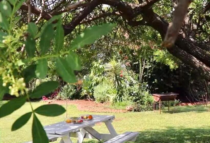 هاستل Choice Backpackers Lodge