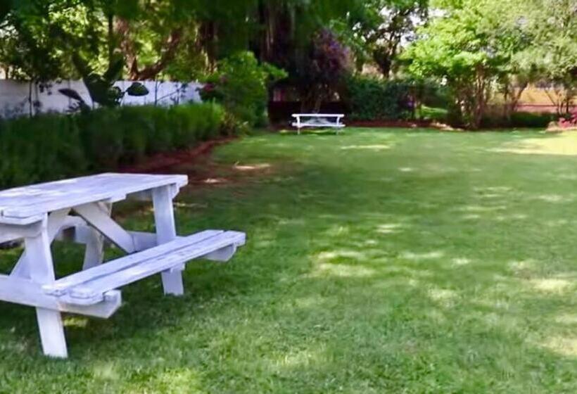 هاستل Choice Backpackers Lodge